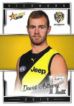 2018 Select AFL Club Team Sets - Richmond Tigers #R13 David Astbury Front